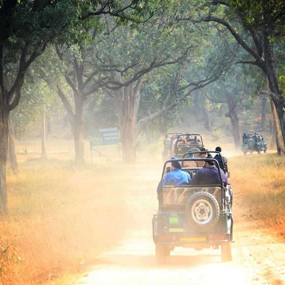 Amenities Gypsy car safari