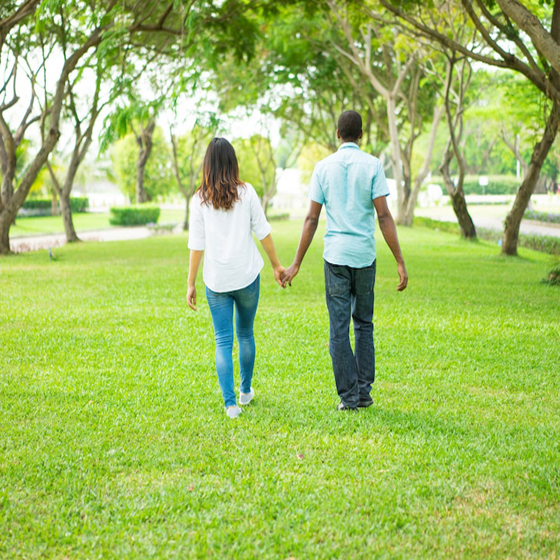 Amenities Lush green lawn Image