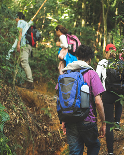 Attractions Nature trek