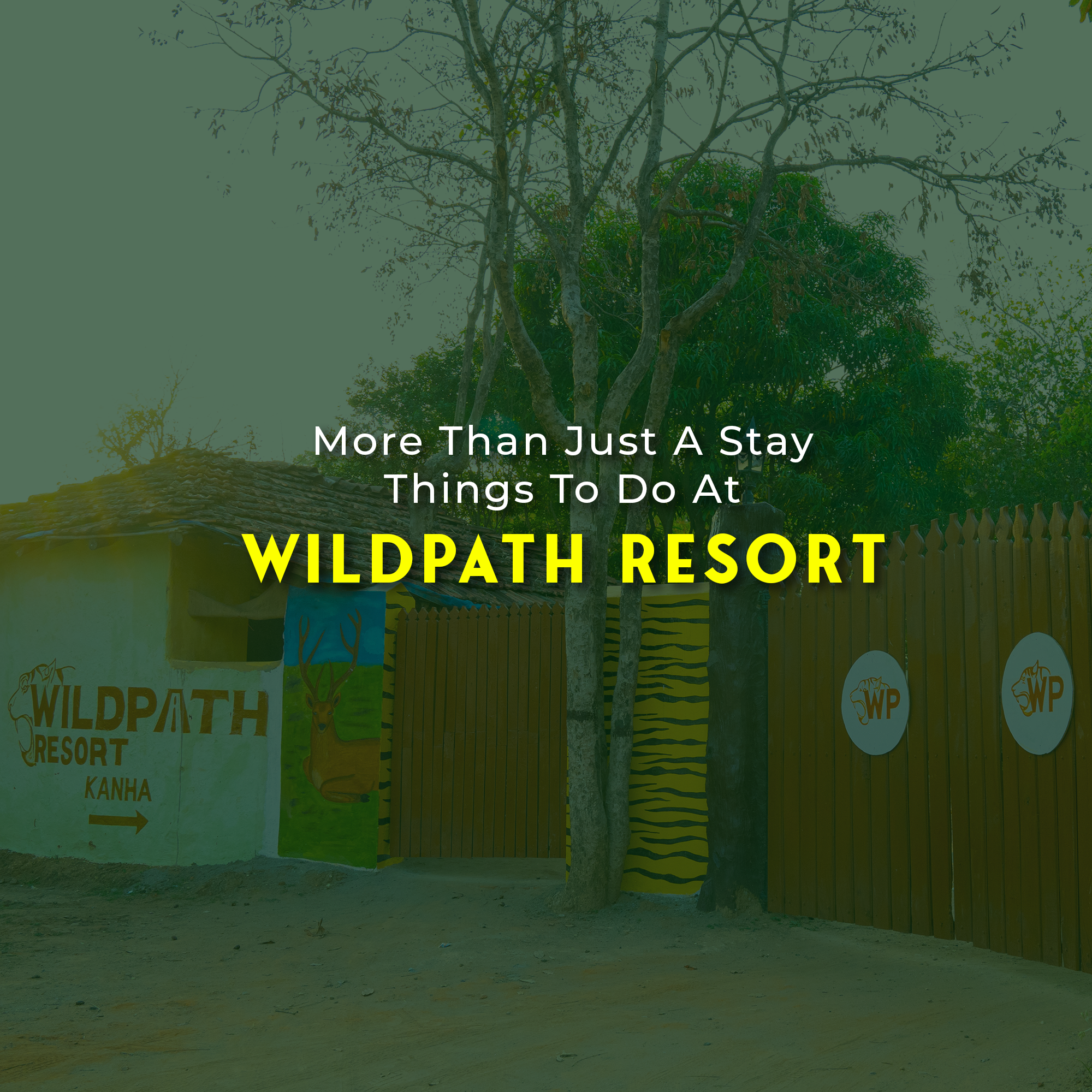 luxury resort in kanha